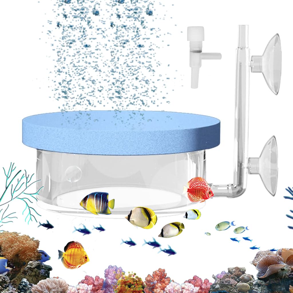 Qpets Fish Tank Bubbler for Oxygen Generator Air Stone Water Bubbler with Adjustable Air Flow Valve Wall Mounted Diffuser Bubbler with Dual Suction Cup (Diameter 8.5cm) Qpets Fish Tank Bubbler for Oxygen Generator Air Stone Water Bubbler with Adjustable Air Flow Valve Wall Mounted Diffuser Bubbler with Dual Suction Cup (Diameter 8.5cm)